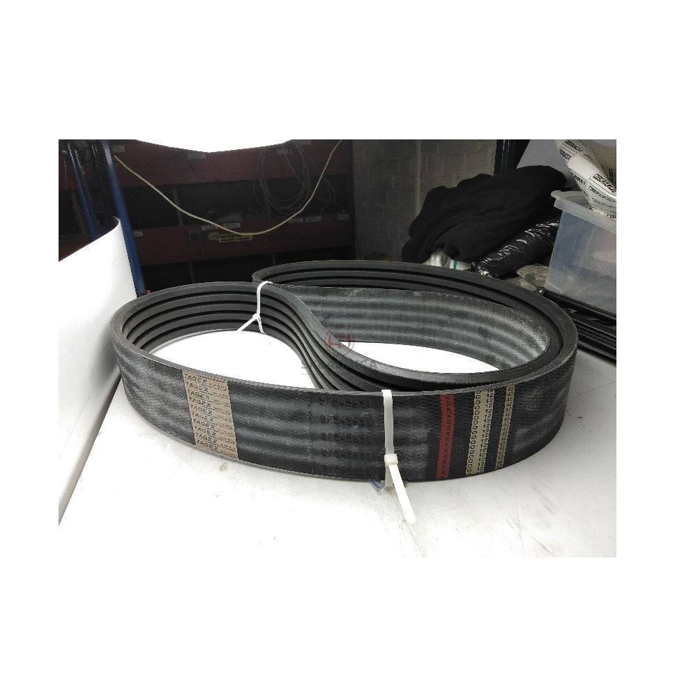 PAS TAGEX 87545651 [PK322539-T]
