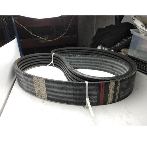 PAS TAGEX 87545651 [PK322539-T]