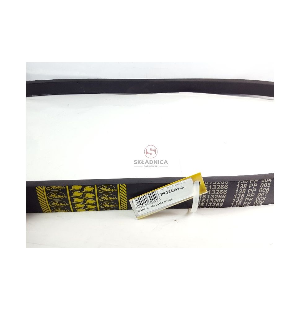 PAS GATES 1613266 [PK324041-G]