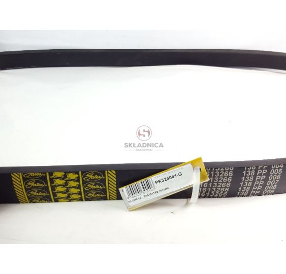 PAS GATES 1613266 [PK324041-G]