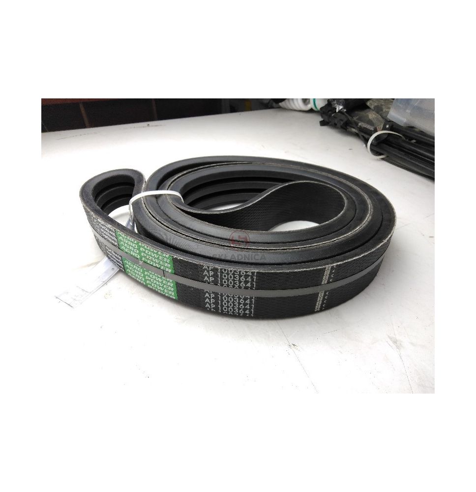 PAS OPTIBELT AP1003641 [PK325037-O]
