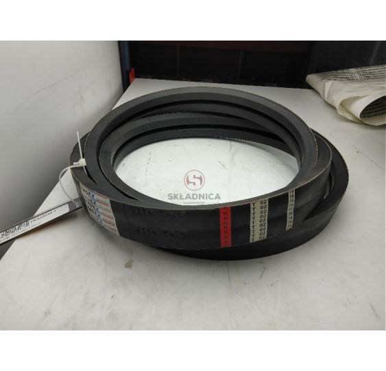 PAS TAGEX  01145479 [PK328046-T]