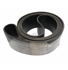 PAS Z21402 AGROBELTS [PK333099]