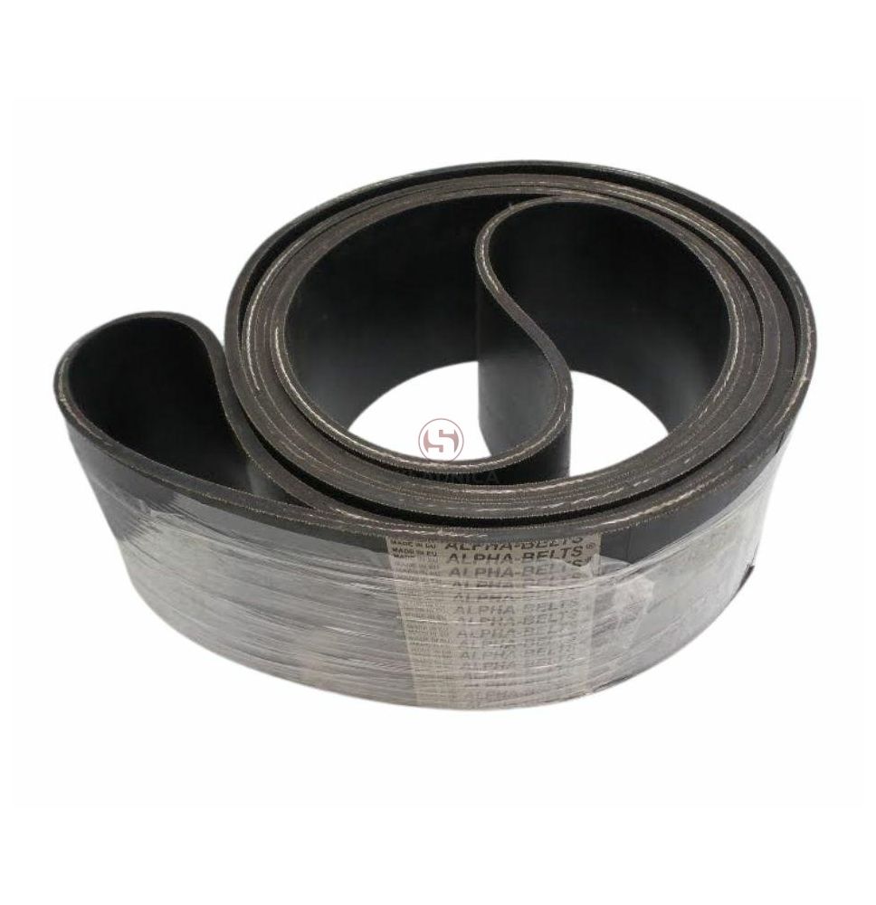 PAS Z21402 AGROBELTS [PK333099]