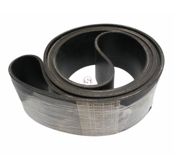 PAS Z21402 AGROBELTS [PK333099]