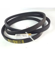 PAS GATES 1403310 [PK40317-G]