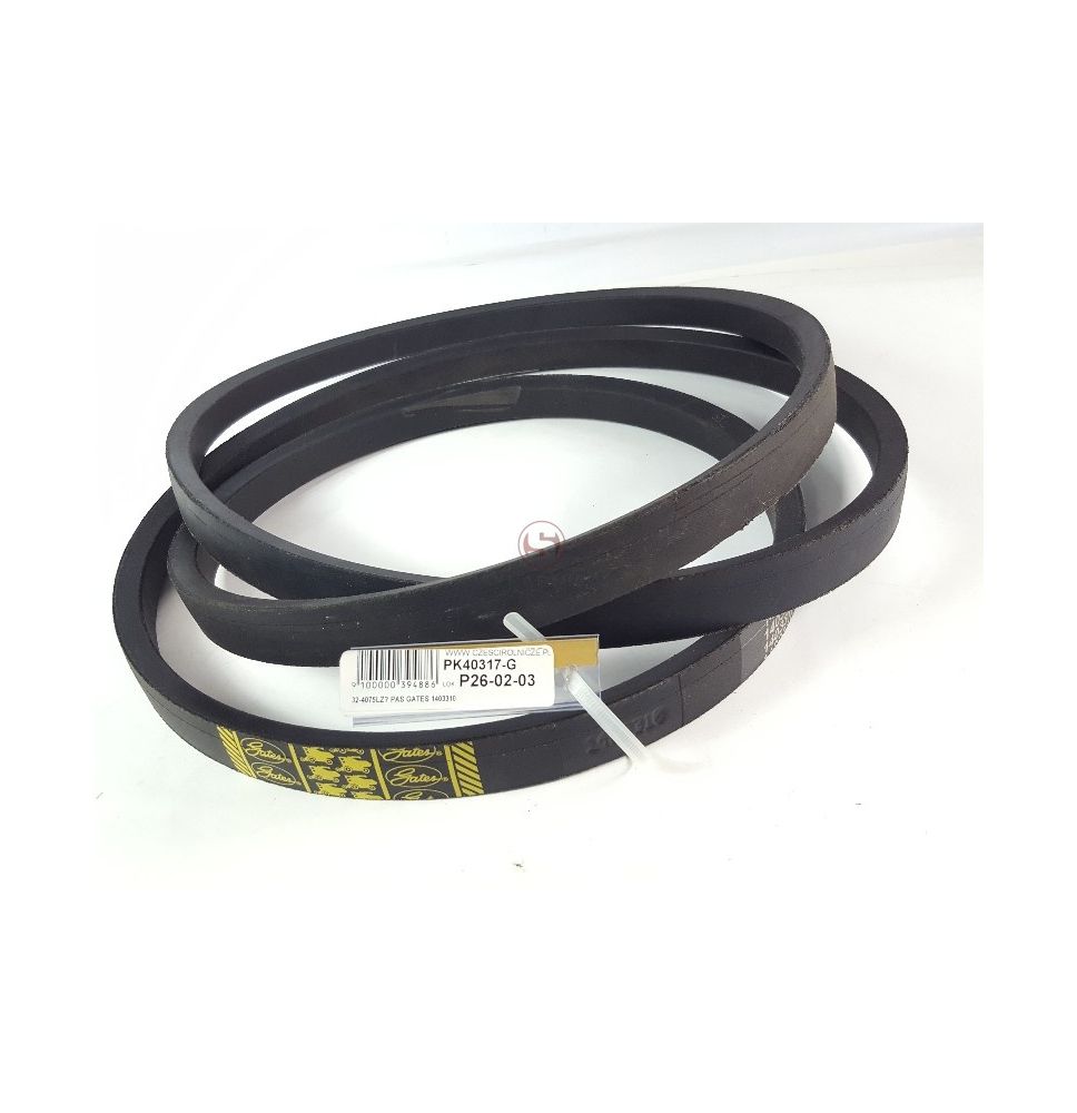 PAS GATES 1403310 [PK40317-G]