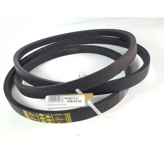 PAS GATES 1403310 [PK40317-G]