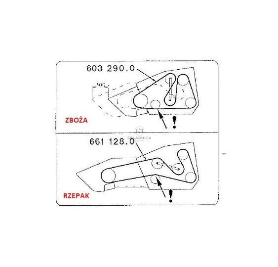 PAS OPTIBELT AP1000764 [PK41604-O]
