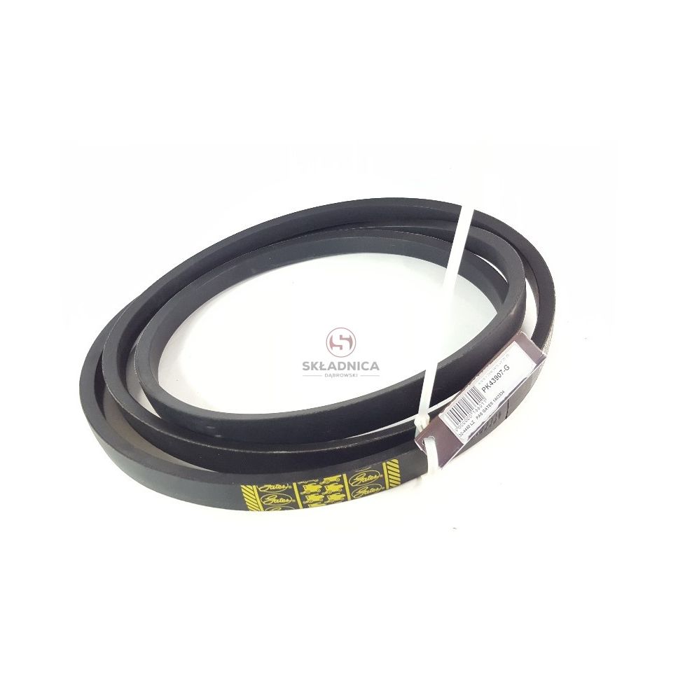 PAS GATES 1403334 [PK43907-G]