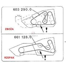 PAS OPTIBELT AP1000796 [PK48084-O]