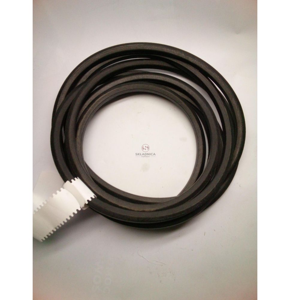 PAS CONTI BB219 [PK56223-C]