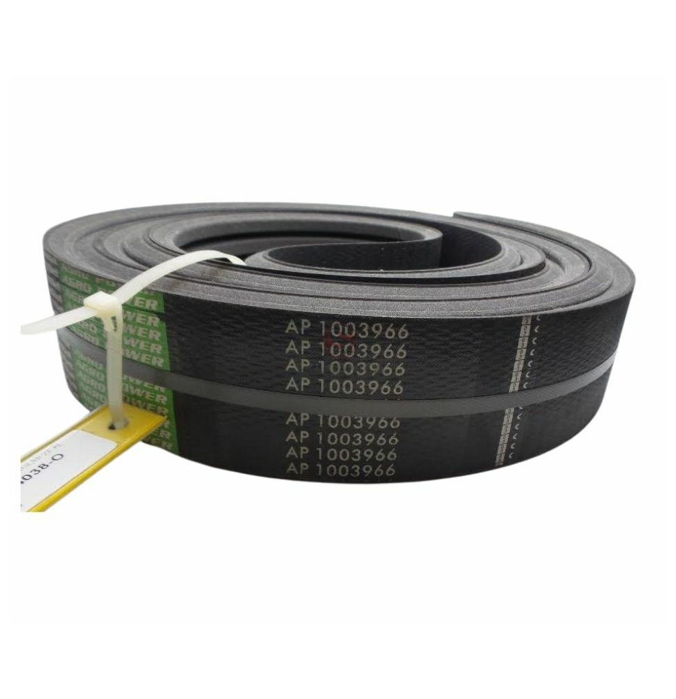 4B-6040  PAS OPTIBELT AP1003966 [PK604038-O]