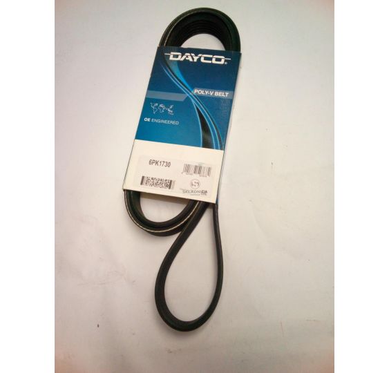 PAS WIELOROWKOWY PK 1730  Z- 6 [PKK173006-D]