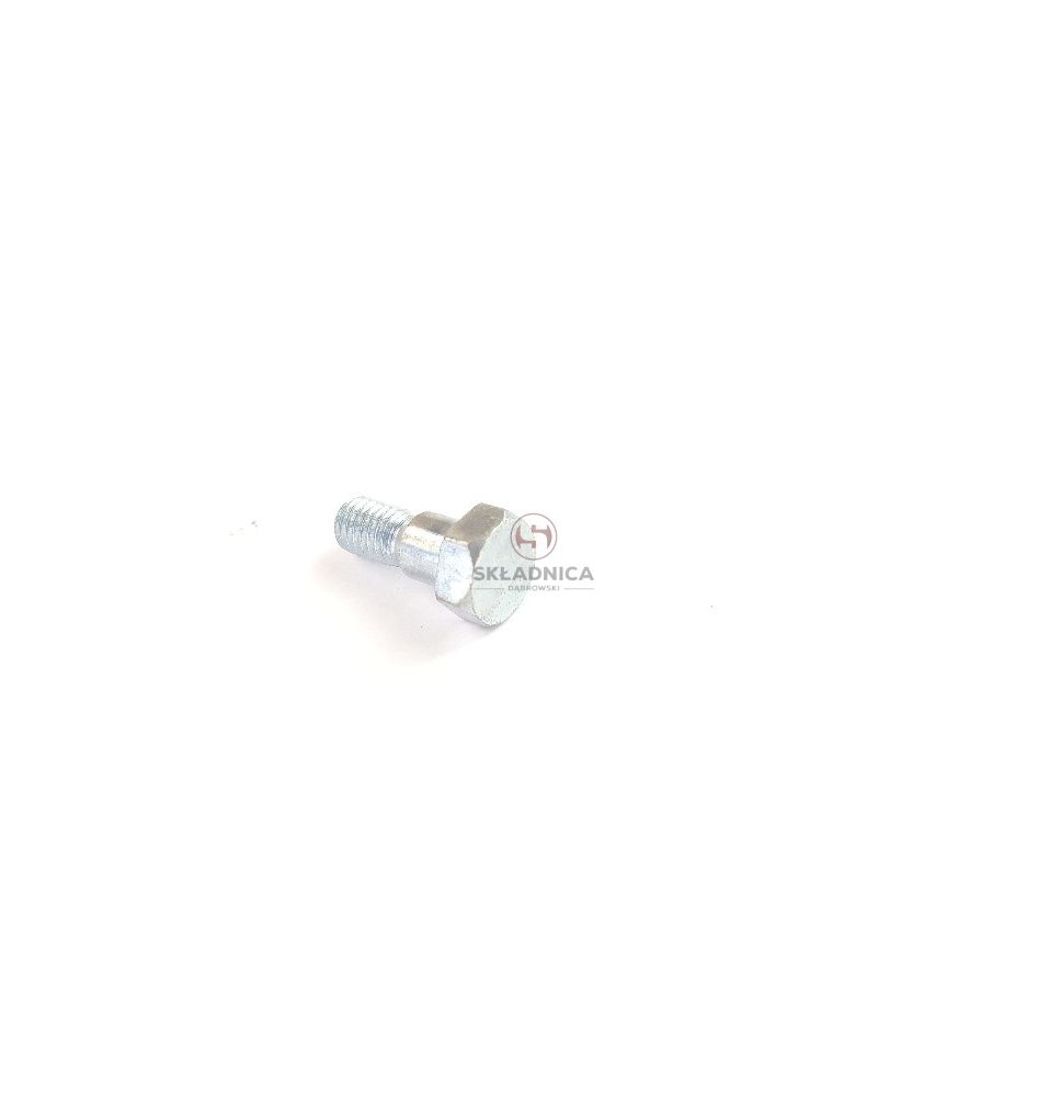 ŚRUBA SPECJALNA [PR011025]