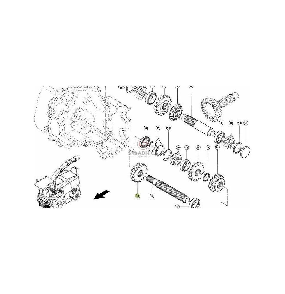 KOŁO ZĘBATE Z-17 M-6 [SCB106019-CL]