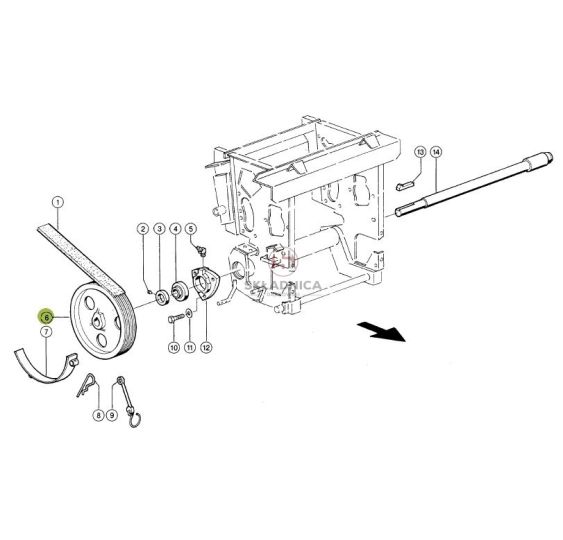 KOŁO PASOWE 17 [SCE094006-CL]