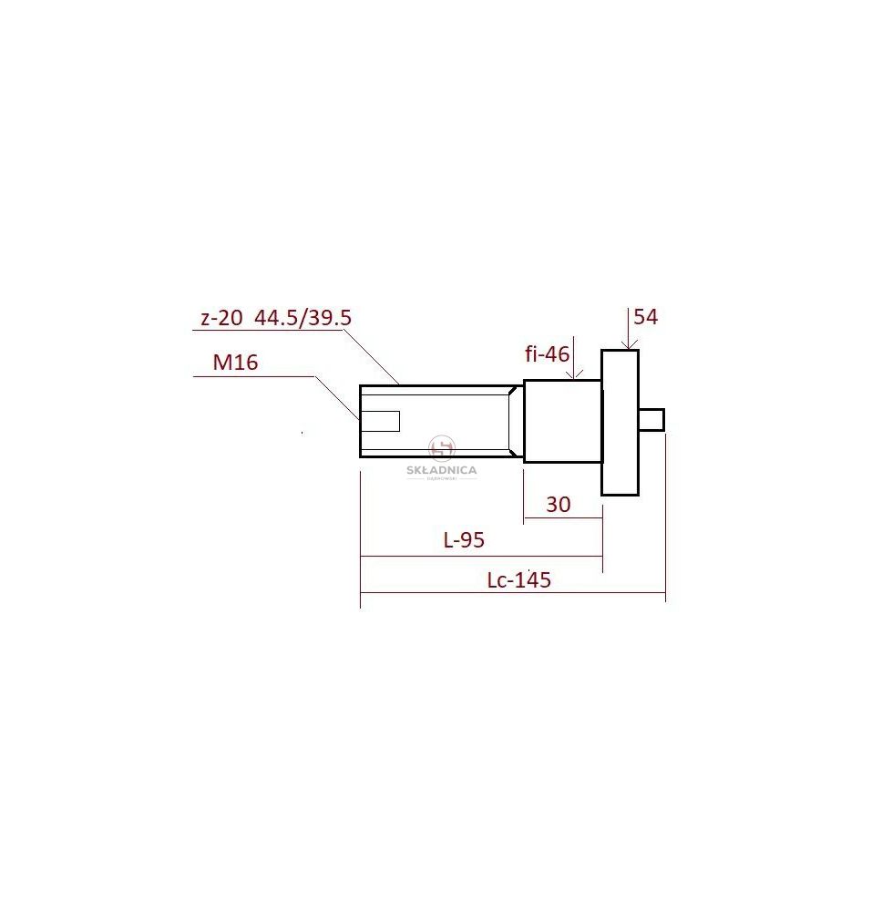 PROFIL Z-20  L-145 [SK025-P]