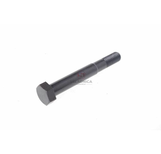 M10* 80             ŚRUBA PASOWANA [UB390028]