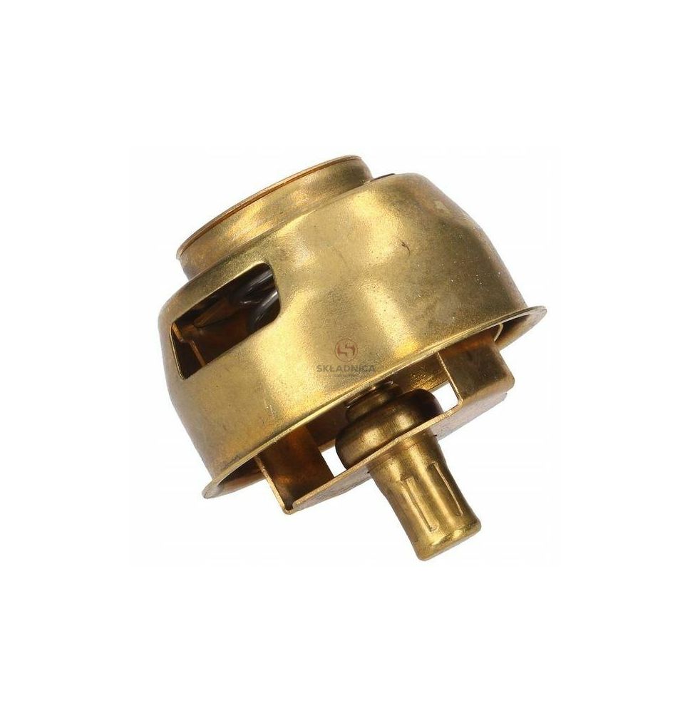 TERMOSTAT [UC100011]