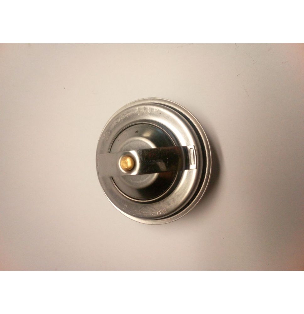 TERMOSTAT [UD004039]