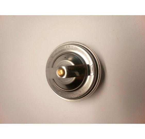 TERMOSTAT [UD004039]