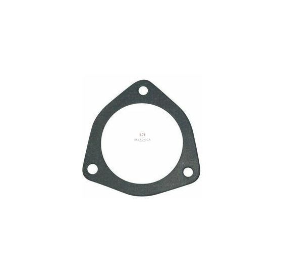 USZCZELKA TERMOSTATU [UD004040]