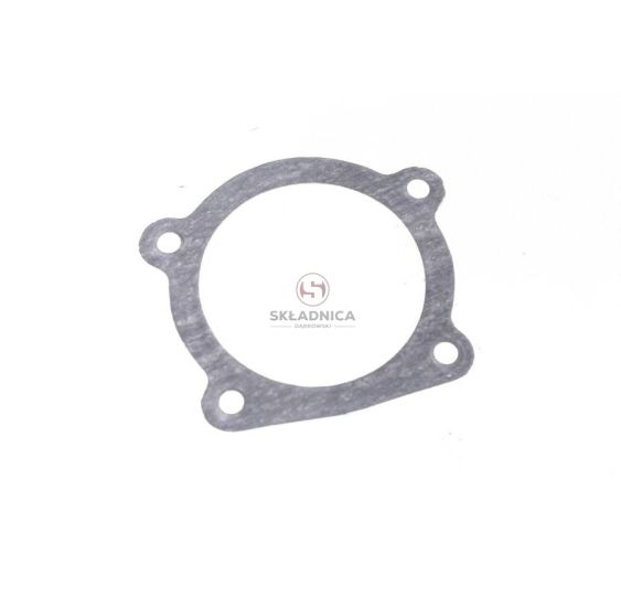USZCZELKA TERMOSTATU [UZE030019]