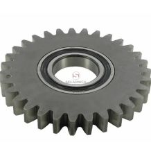 KOŁO ZĘBATE WALCOWE Z-31 [ZKN203]