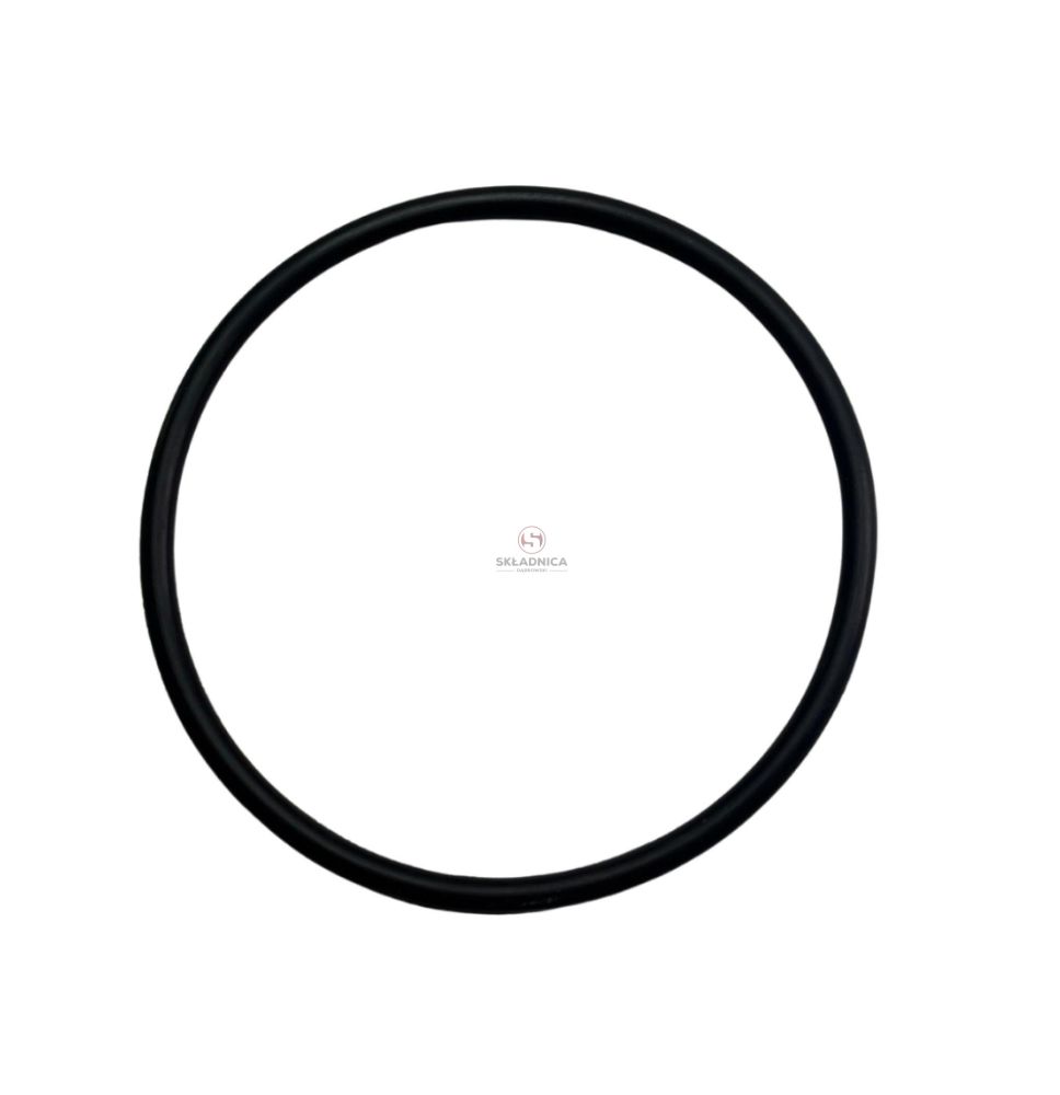ORING   58.00 * 3.00  VITON [CFN199]