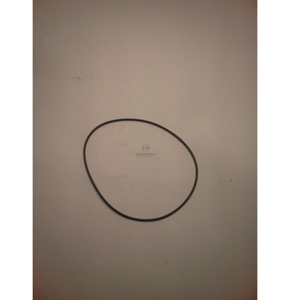 ORING  160.00 * 3.00 [CFN905]