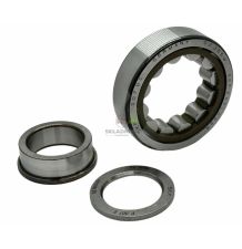 ŁOZYSKO SKF NUP 307 ECP  38X80X21 [CFN224]