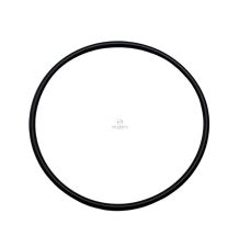 ORING  62.00 * 2.5 [CFN116]