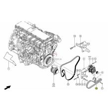 PAS WIELOROWKOWY CLAAS 0024039190 [PKK126810-CL]