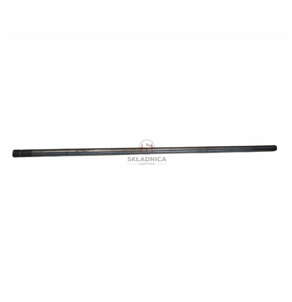 WAŁEK [KCL040487]