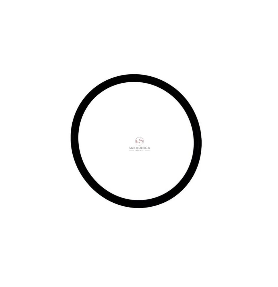 ORING  42,2 * 3.00 [CWN185]