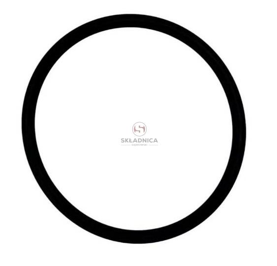 ORING  42,2 * 3.00 [CWN185]
