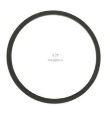 USZCZELKA FILTRA PALIWA F50-22 [FI000023]