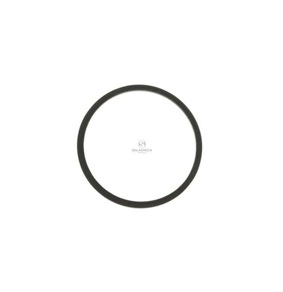 USZCZELKA FILTRA PALIWA F50-22 [FI000023]