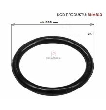 ORING  256.00 * 25.00       SYSTEM PERRO [BNA810]