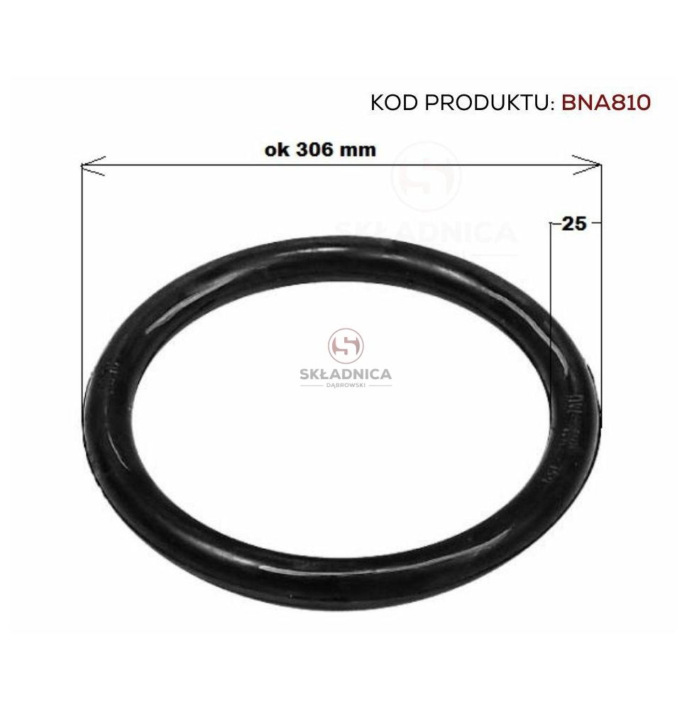 ORING  256.00 * 25.00       SYSTEM PERRO [BNA810]