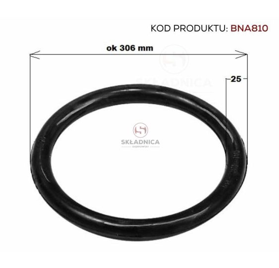 ORING  256.00 * 25.00       SYSTEM PERRO [BNA810]