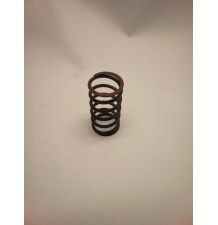 SPRĘŻYNA ZAWOROWA  MWM    TD226-B [CXM311]