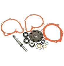 ZESTAW NAPRAWCZY POMPY WODY  MF   30/131 [CXP542]