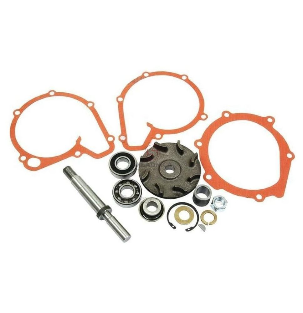 ZESTAW NAPRAWCZY POMPY WODY  MF   30/131 [CXP542]