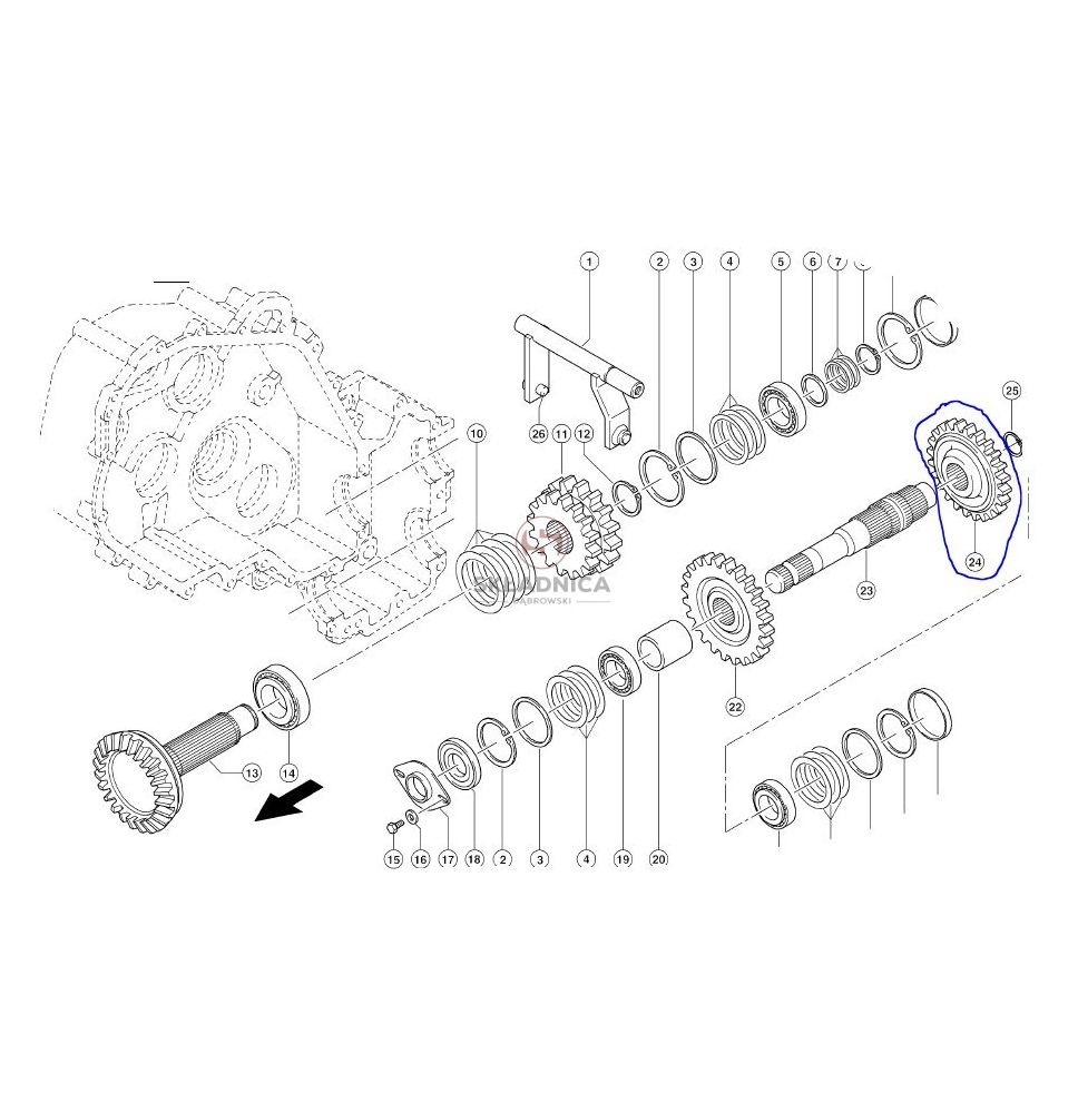 KOŁO ZĘBATE Z-22 [SCB105024]