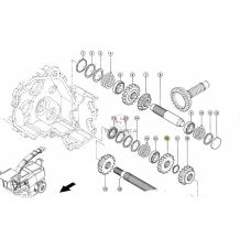 KOŁO ZĘBATE Z-17  W-8  ZAM-MS [SCB106016-MS]