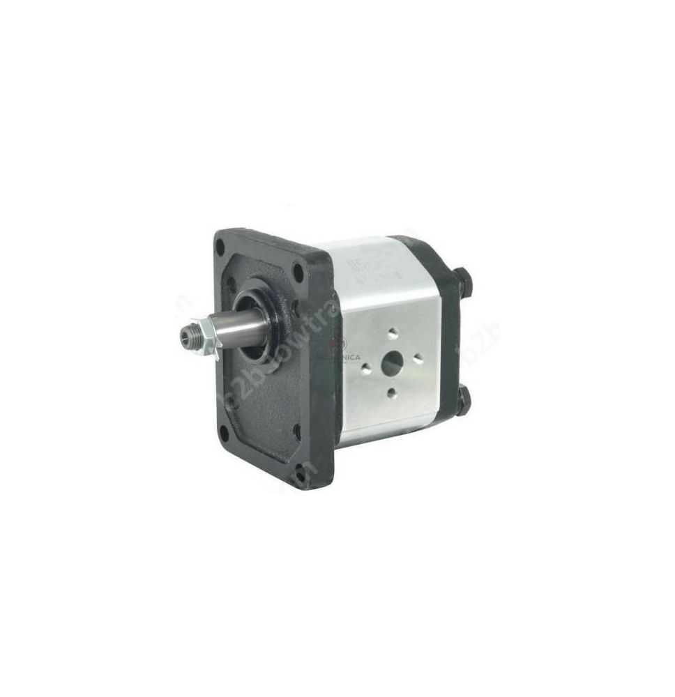 POMPA ALHP2-B0-Y-10-T0-E0-06 [HP07-003-A]