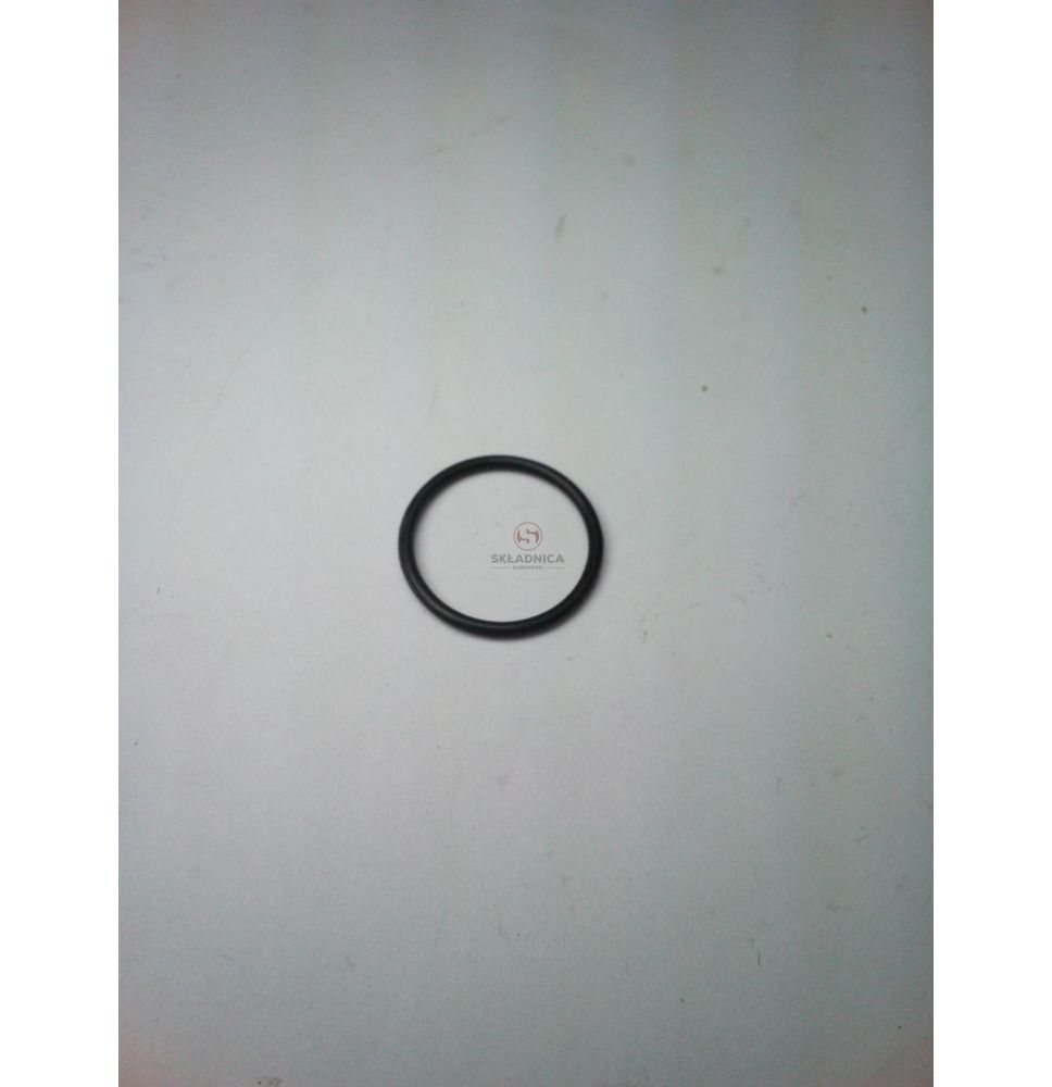 ORING [WYP-00026]
