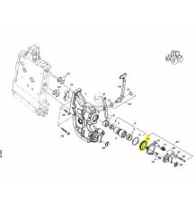 USZCZELKA -ORY [CFH523-AGCO]